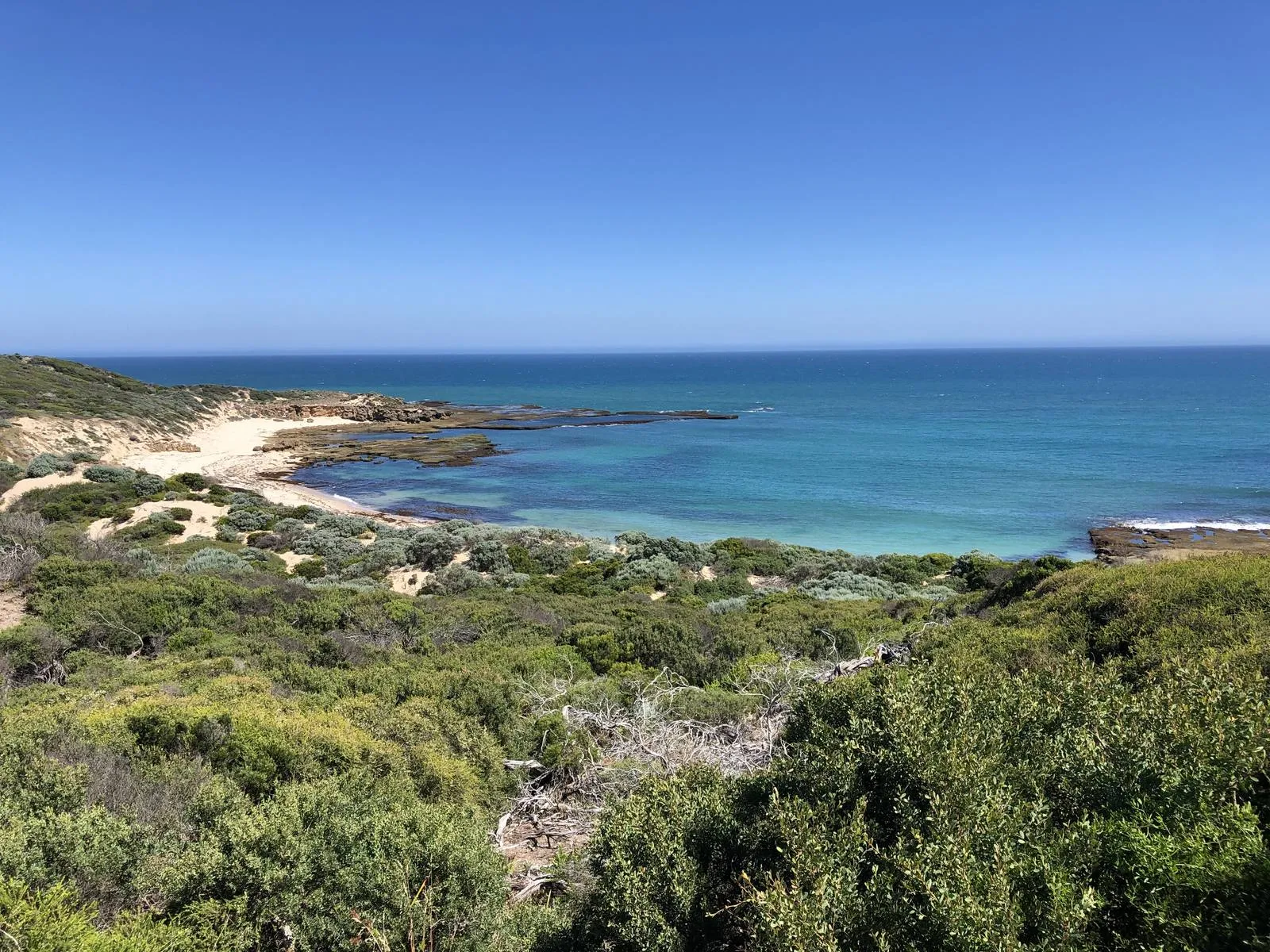 A sheltered sandy cove with clear turquoise water over rock shelves, low coastal scrub in the foreground under a clear sky.