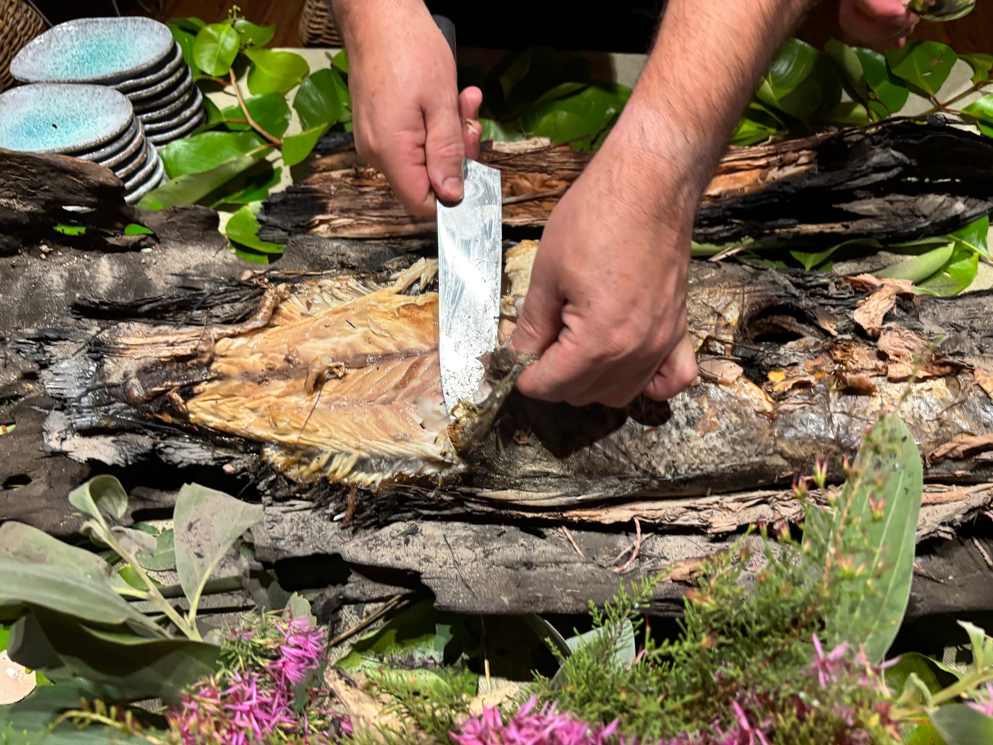 Traditional paperbark-baked barramundi being served at a remote property