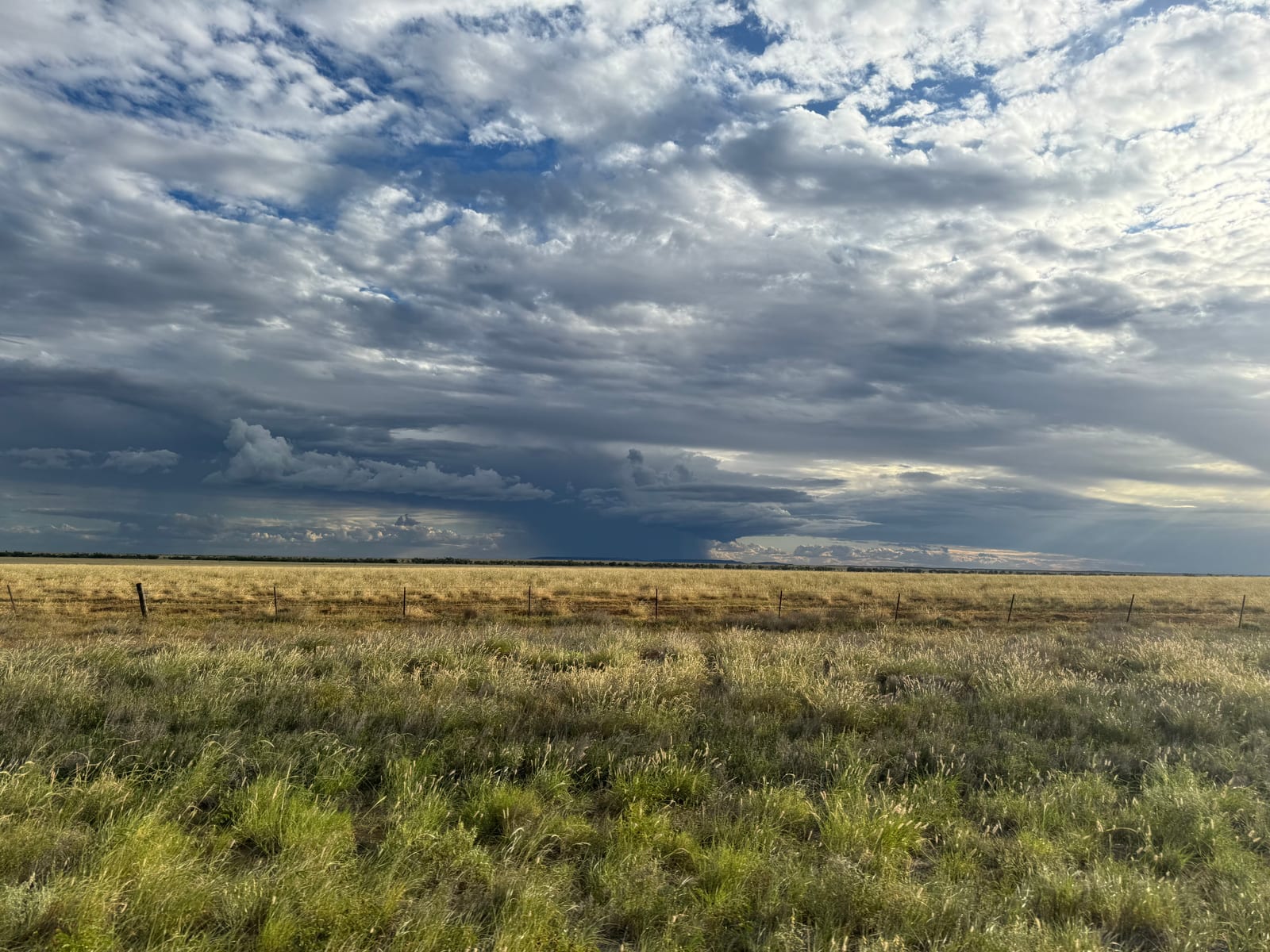An outback paddock under a brewing storm